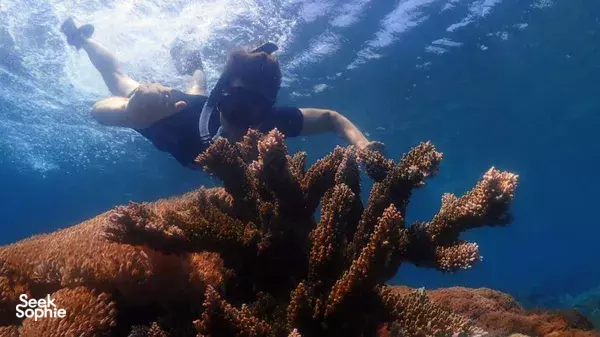 Blue Lagoon Snorkeling All Inclusive