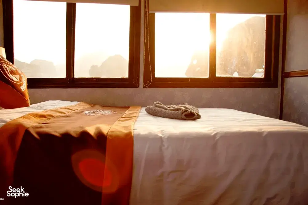 Seek Sophie option picture