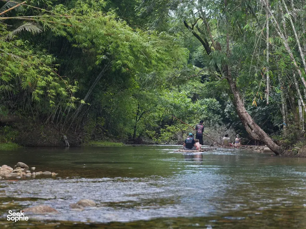 Seek Sophie option picture