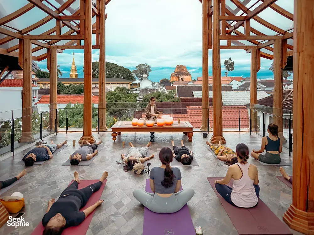 Seek Sophie option picture