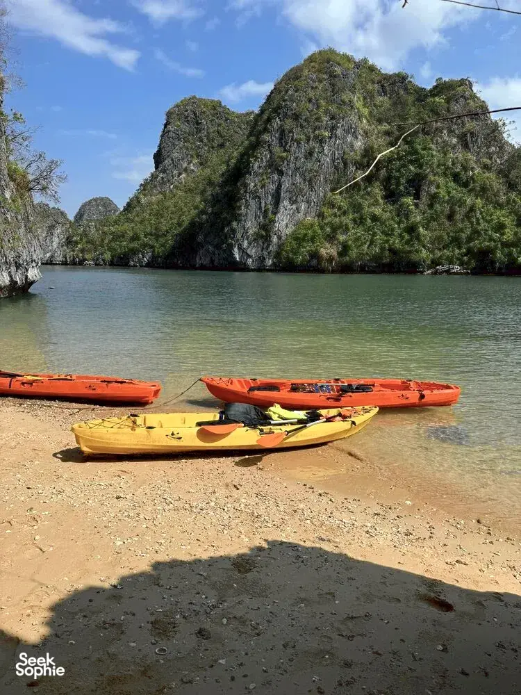 Seek Sophie option picture