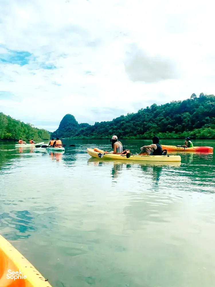 Group kayaking on calm river water beside lush green forest in Langkawi, on a mangrove-and-island eco trip