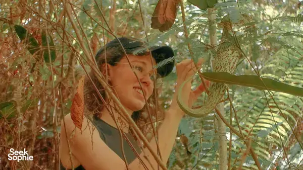 2D1N Rainforest Retreat: Waterfalls, Bidayuh Village & Night Walk