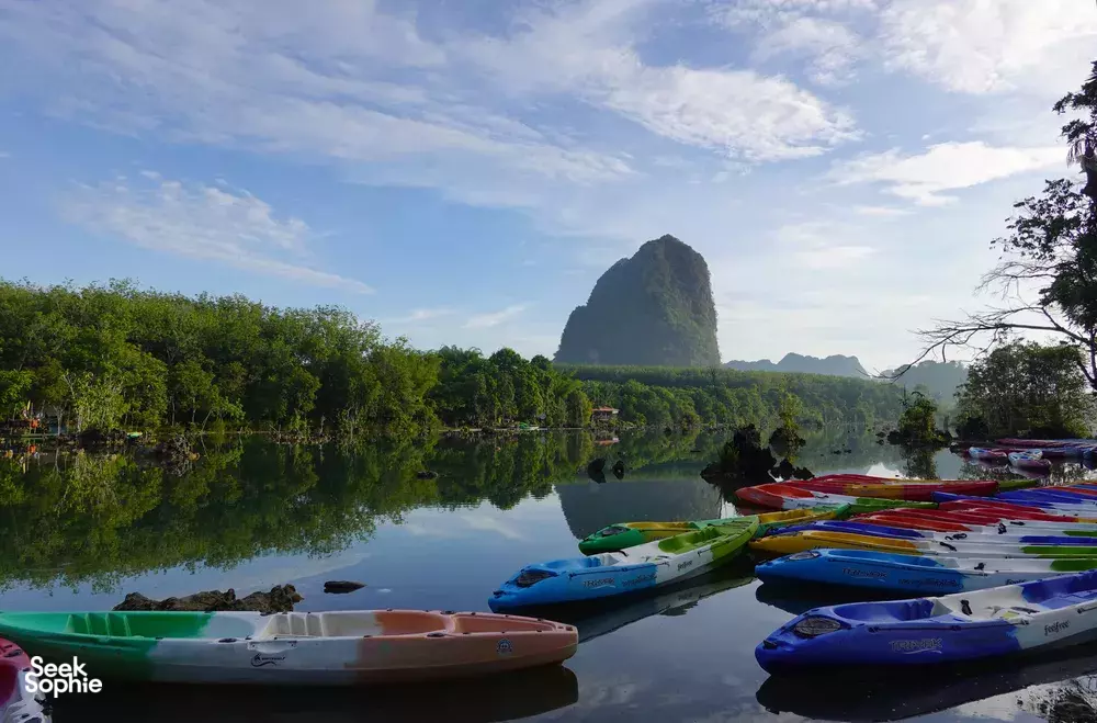 Seek Sophie option picture