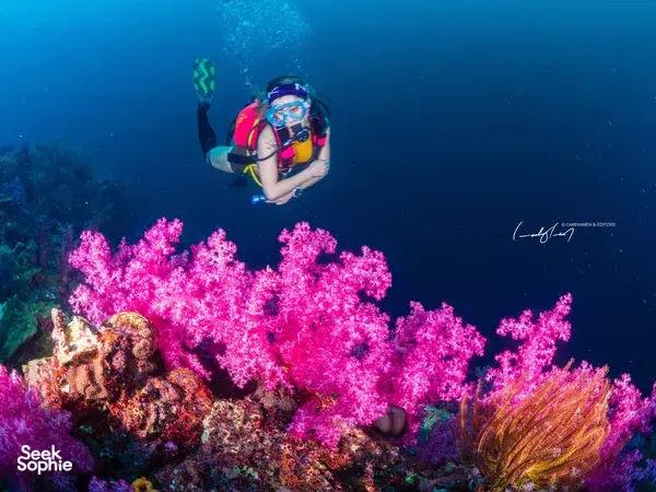 5天4晚安达曼船宿之旅｜全套空调私人卫浴舱＋普吉接送