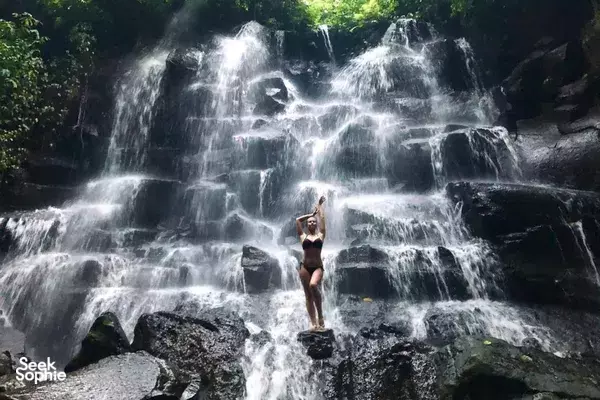 Ubud Private Tour: Waterfall, Rice Terraces & Monkey Forest
