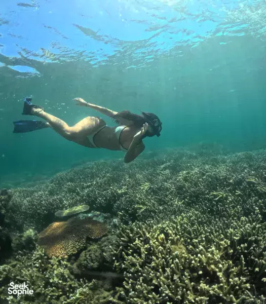 Secret Gilis Island Hopping | Snorkel Crystal Clear Waters