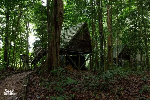 2D1N Kinabatangan Jungle Camp & River Safari – Offbeat & Community-Led