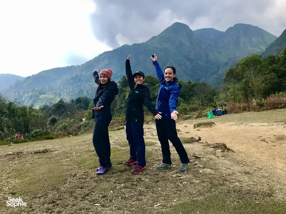 Seek Sophie option picture