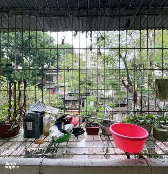 Sudut taman atas bumbung di Hanoi yang dikelilingi jeriji besi, dengan pasu tanaman, besen merah dan alatan kecil di atas lantai jubin.