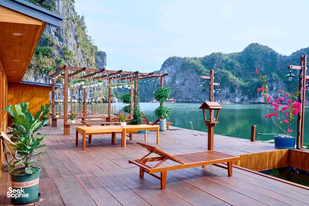 Seek Sophie option picture