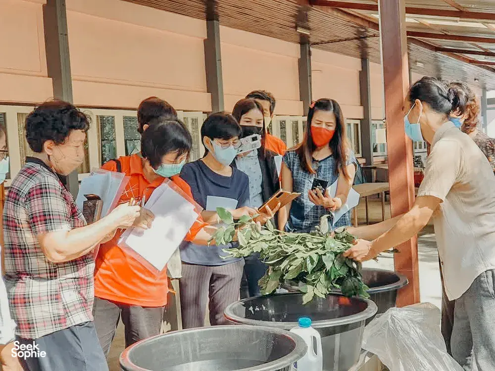 Seek Sophie option picture