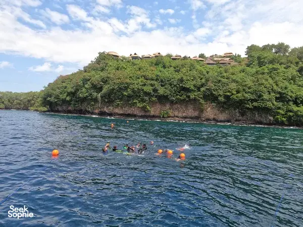 Snorkelling group in choppy East Bali waters, preparing to enter near a lush coastline during a coral restoration trip