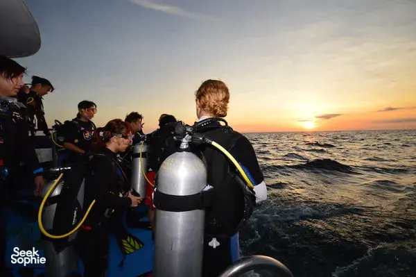 5天4夜安达曼海潜水船之旅 | 15次潜水体验
