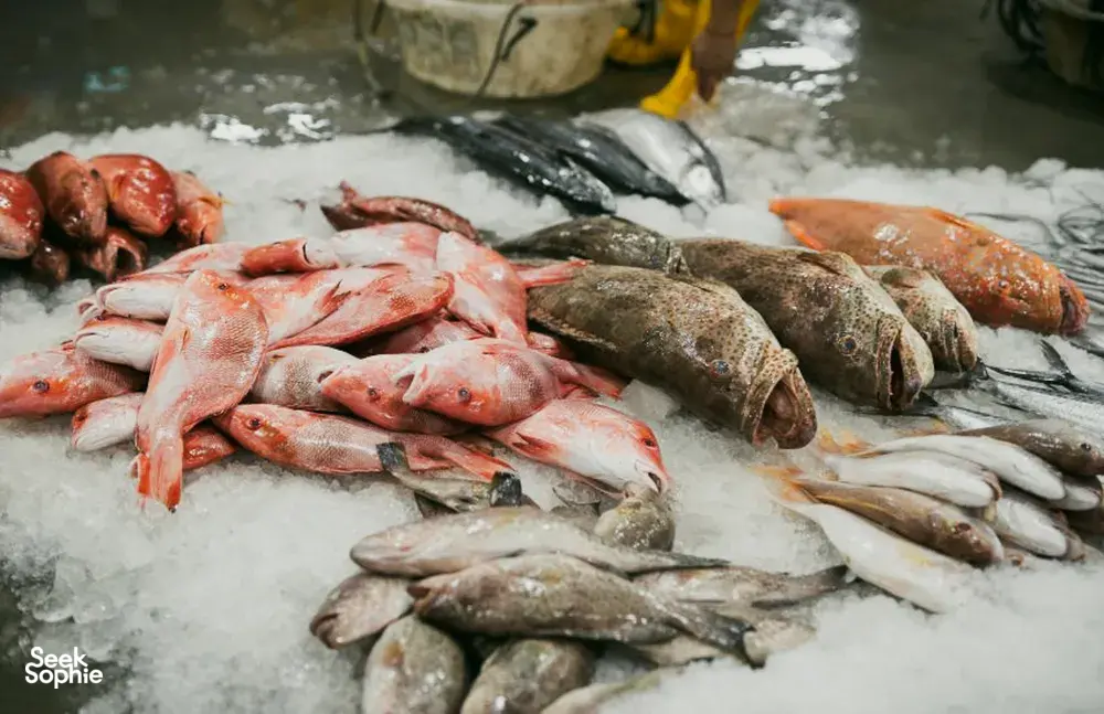 Aneka ikan laut berwarna-warni tersusun di atas es di pasar ikan Pelabuhan Jurong, Singapura, siap dipilih pembeli