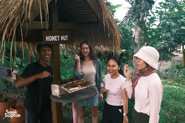 The Secret Life of Bees | Meet Unique Stingless Bee on Lombok Farm