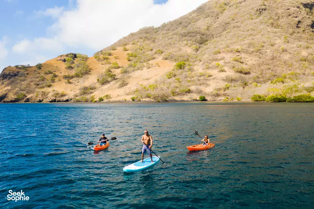 Seek Sophie option picture