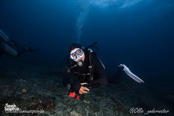 Scuba diver with regulator and mask swimming underwater during a 3-day Open Water Cert in Bali with Sanctum Dive Indonesia