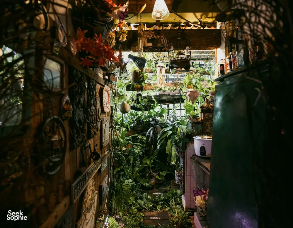 Koridor penuh tanaman di sebuah flat sewaan di Singapura, dengan dekorasi gantung dan rak, dijelajahi oleh Hidden Heritage sebagai salah satu sudut tersembunyi Singapura