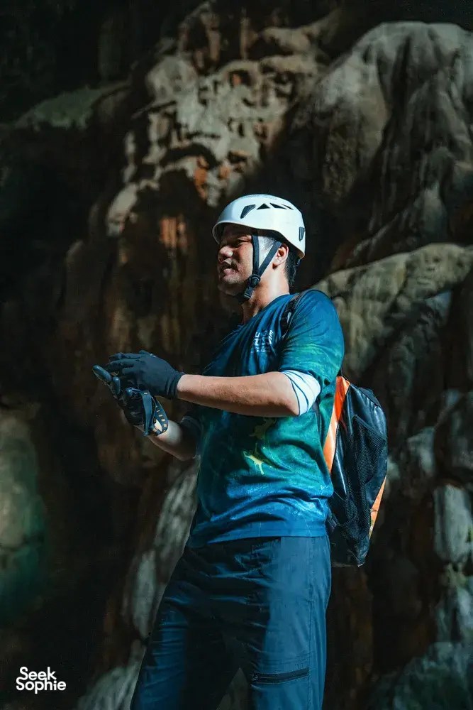 Seek Sophie option picture