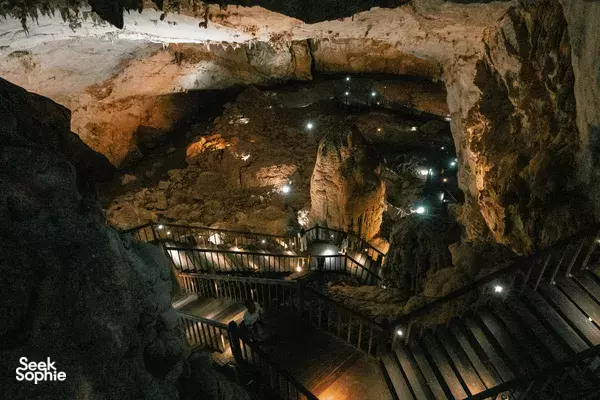 Phong Nha Easy Day Trip | Botanical Walk, Paradise Cave, Mud Bath & Zipline Fun