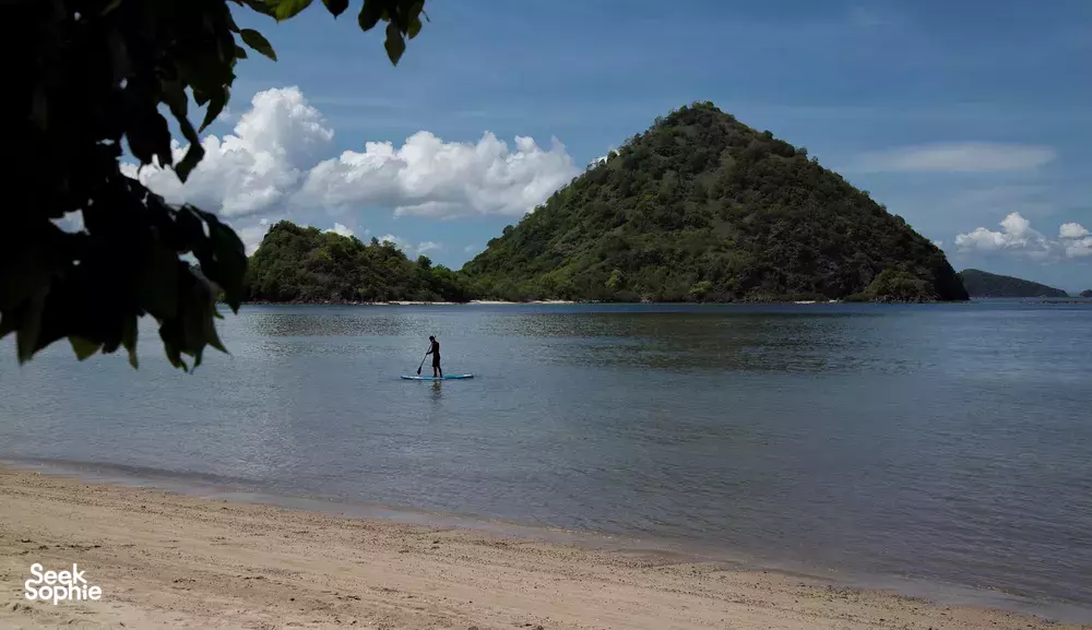 Seek Sophie option picture