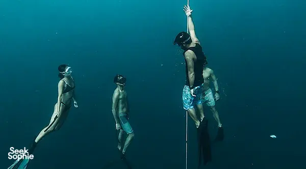 2 Day Freediving Course with Top Instructor | Beginner Friendly