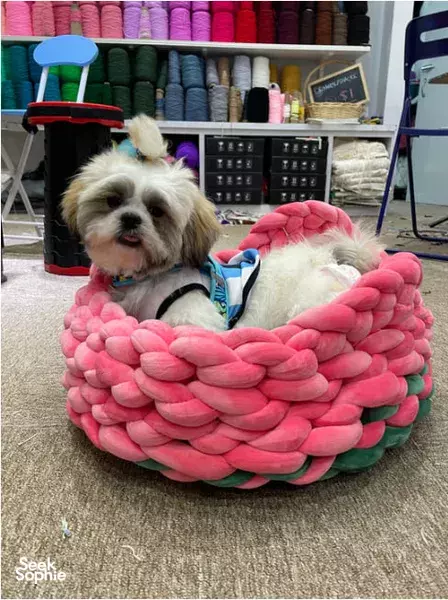 Big Chunky Yarn: Handknit Velvet Pet Bed