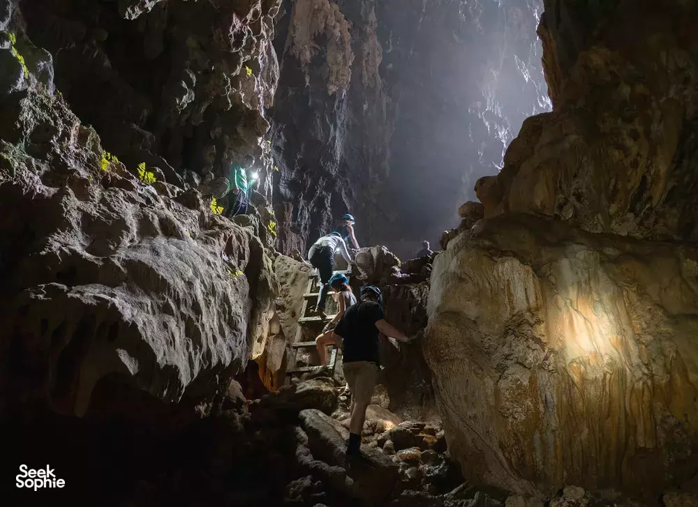 Seek Sophie option picture