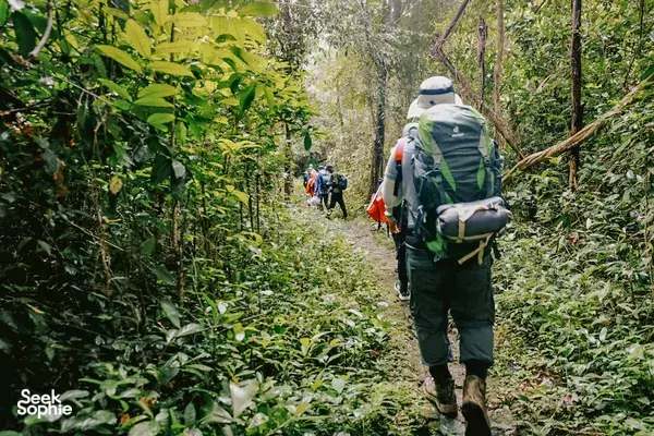 Hikers with large backpacks trekking along a narrow jungle trail in Cat Tien on an eco trail nature escape