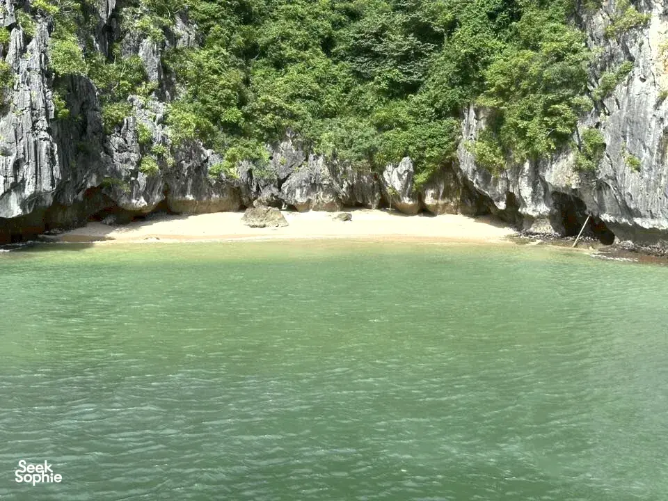 Seek Sophie option picture