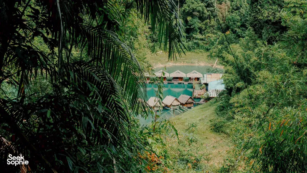 Seek Sophie option picture