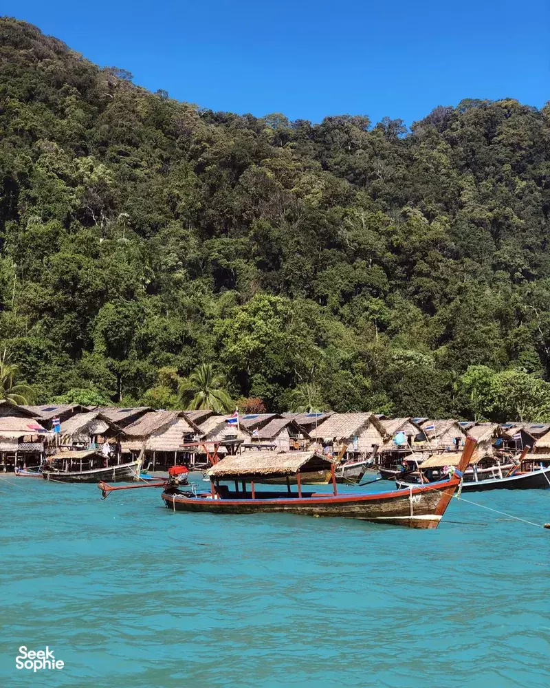 Seek Sophie option picture