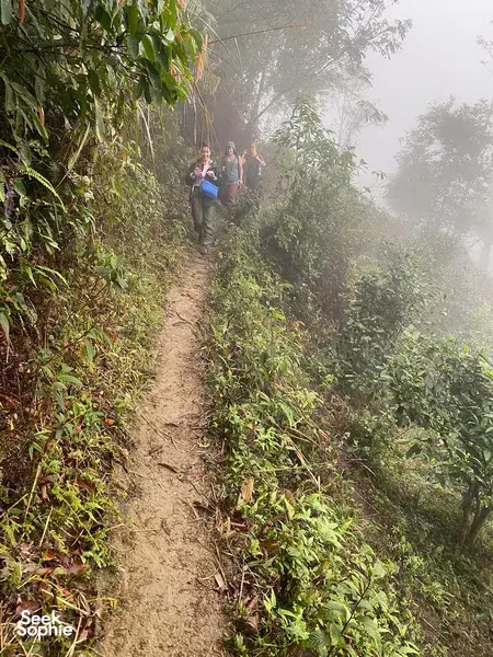 Ha Giang trek trail through dense greenery and morning mist, travellers walking the narrow dirt path to reach the villages