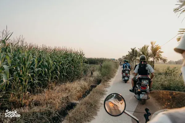 Rombongan motor bersama Hoi An Backroad Tours melintasi jalan pedesaan di antara ladang jagung dekat Hoi An saat matahari terbenam, Vietnam