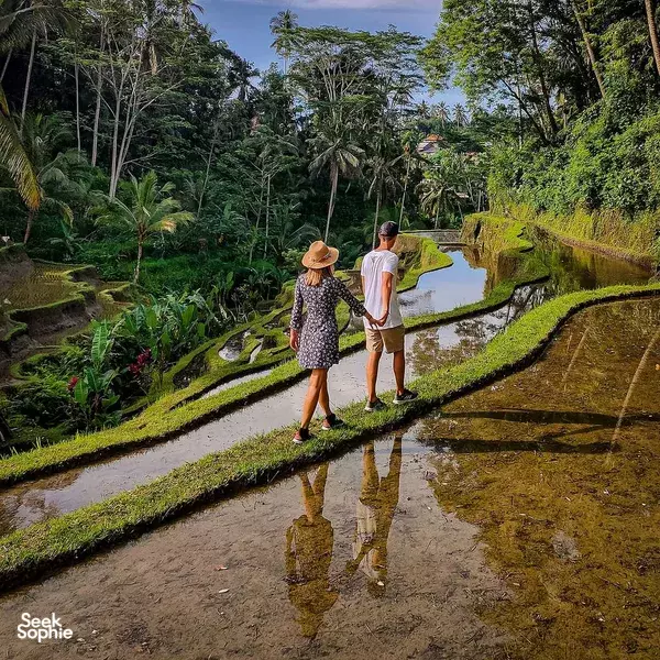 Ubud Private Tour: Waterfall, Rice Terraces & Monkey Forest