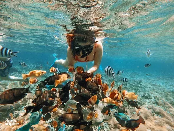 2-in-1 Nusa Lembongan + Nusa Penida | For water sport lovers!