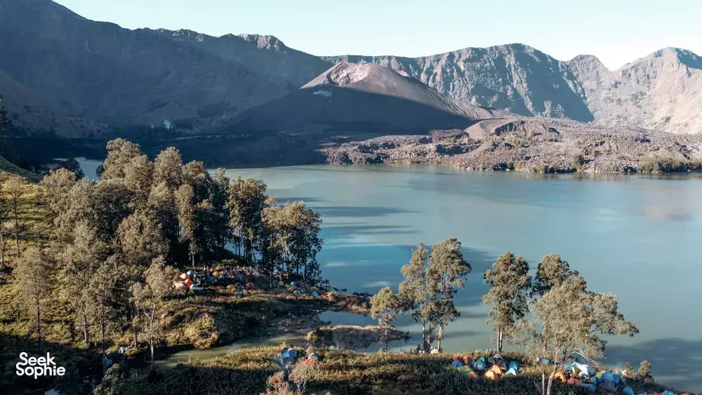 Seek Sophie option picture