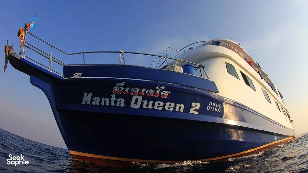 Seek Sophie option picture