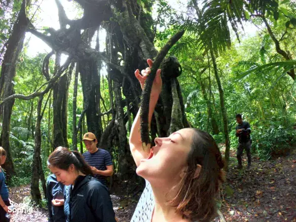 3 Days Jungle Bushcraft; Trekking, Camping and 101 Survival - Bali, Indonesia