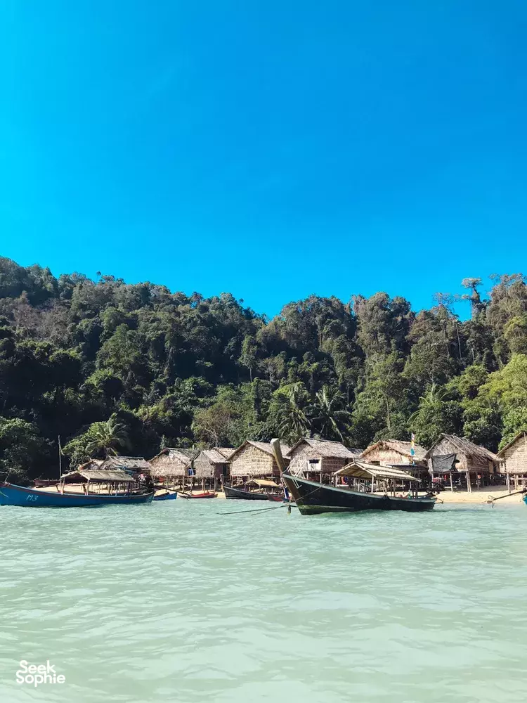 Seek Sophie option picture