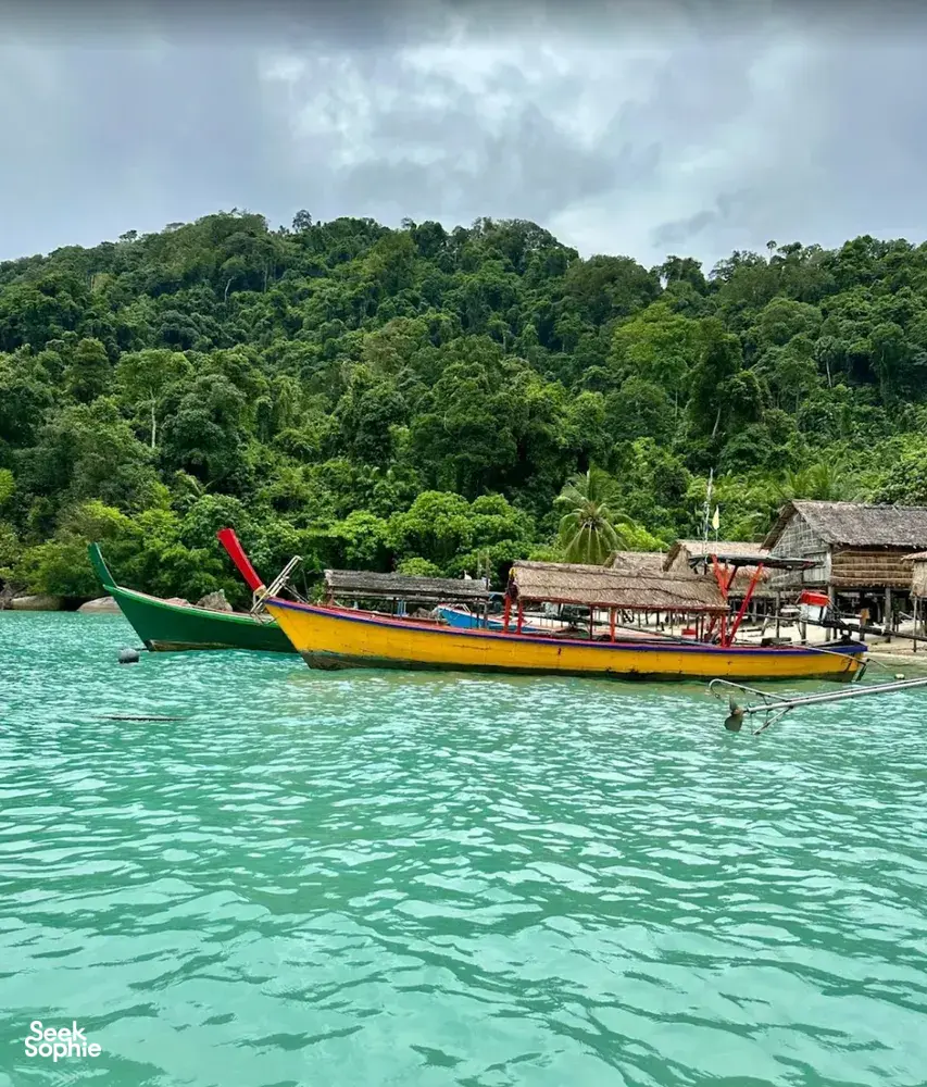 Seek Sophie option picture