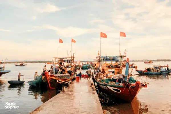 Hoi An Sunrise Foodie Experience 