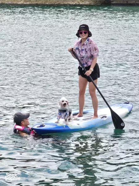 4 Hour Yacht to Lazarus | Complimentary Decor for Special Occasions!