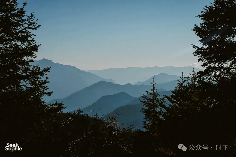 Mountain layers and misty ridgelines framed by pine trees in Shangri-La, a backdrop for Tiger Leaping Gorge hikes