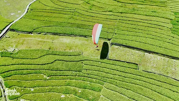 Sapa Paragliding Over Terraced Valleys