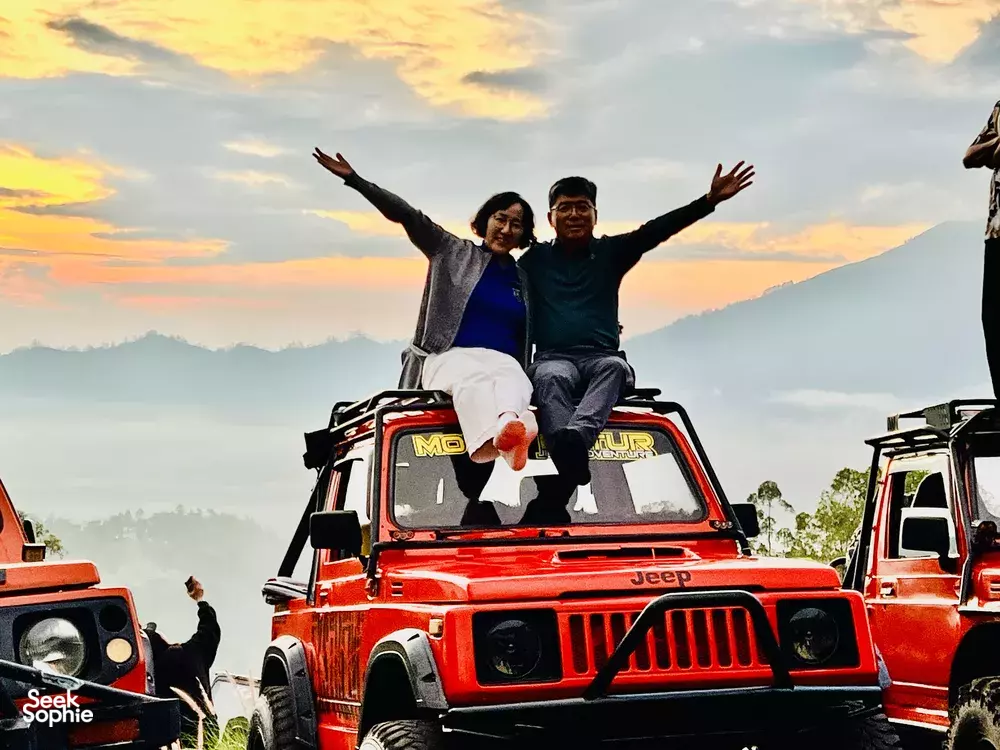 Seek Sophie option picture