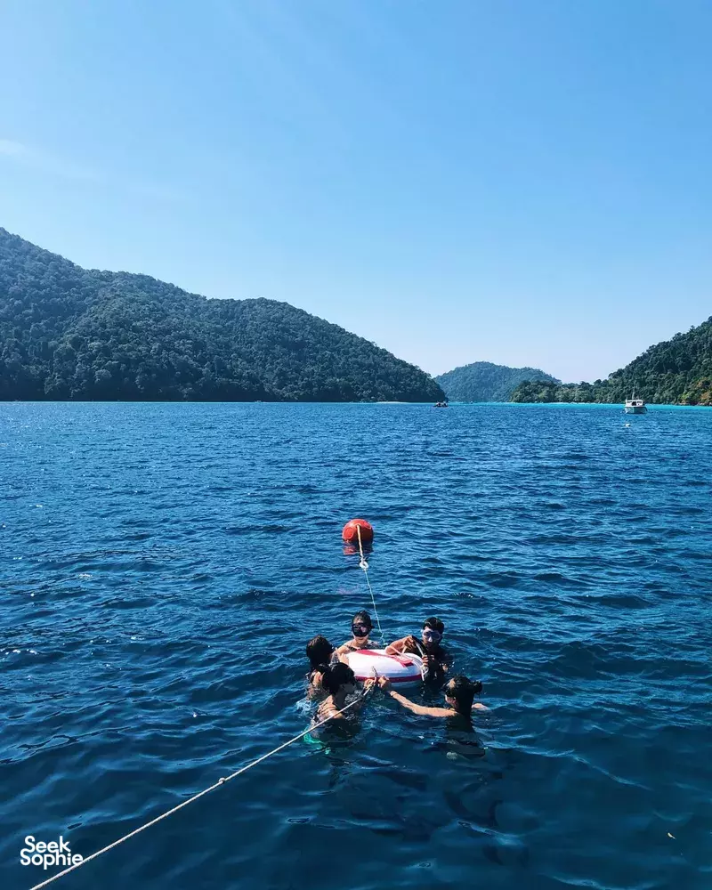 Seek Sophie option picture