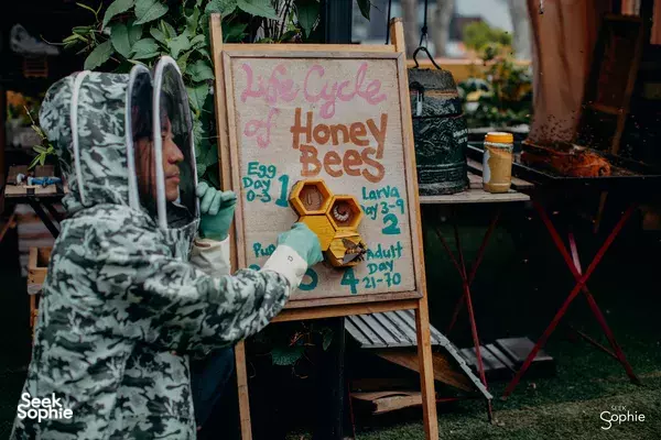 Secret Rooftop Farm, Rescued Bees + Honey Tasting