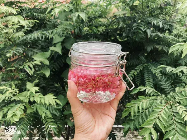 Garden-to-Table Workshop: Tea, Sodas & Roselle